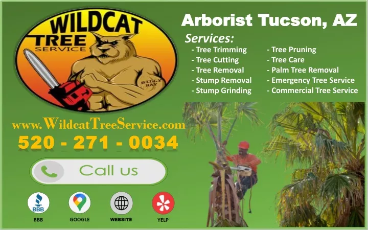 arborist tucson az