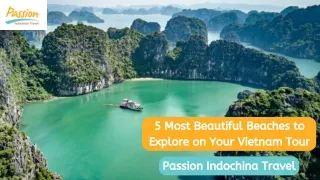 5 Most Beautiful Beaches to Explore on Your Vietnam Tour