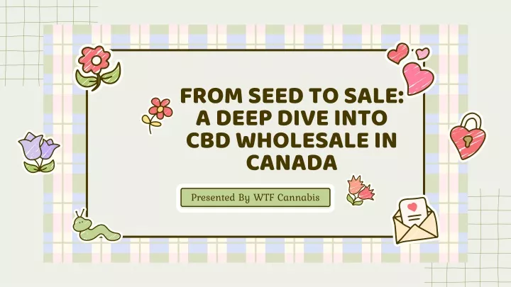 from seed to sale a deep dive into cbd wholesale