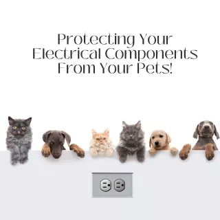 Protecting Your Electrical Components from Your Pets! (Instagram Post)