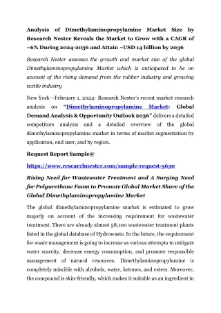 analysis of dimethylaminopropylamine market size