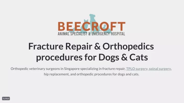 fracture repair orthopedics procedures for dogs