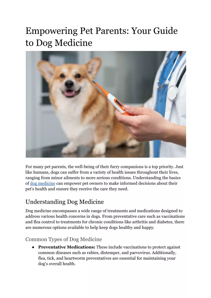 empowering pet parents your guide to dog medicine