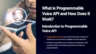 What is Programmable Voice API and How Does It Work?