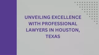 Unveiling Excellence with Professional Lawyers in Houston, Texas(1)