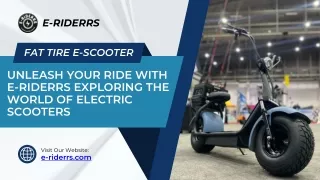 Unleash Your Ride with E-Riderrs Exploring the World of Electric Scooters