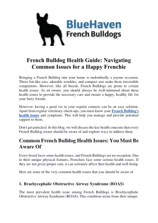 French Bulldog Health Guide: Navigating Common Issues for a Happy Frenchie