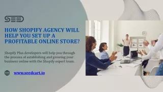 How Shopify agency will help you set up a profitable online store