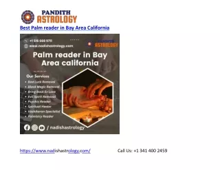 Best Palm reader in Bay Area California