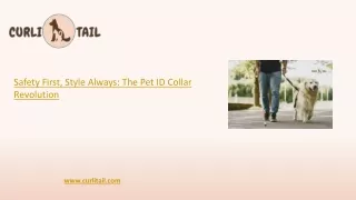 Safety First, Style Always: The Pet ID Collar Revolution | CurliTail
