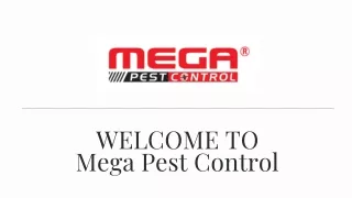 Effective Bed Bug Control in Langley: Rest Easy with Mega Pest Control