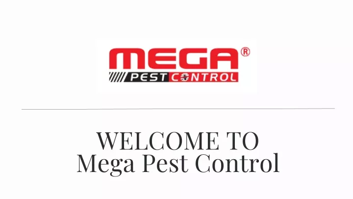 welcome to mega pest control