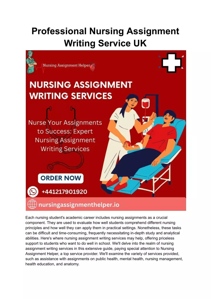 professional nursing assignment writing service uk