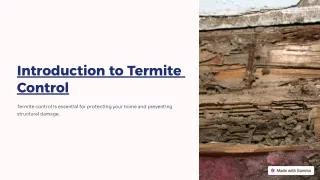 How to termite control in Home