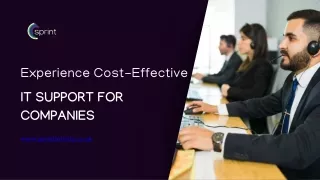 Experience Cost-Effective IT Support for Companies Sprint Infinity