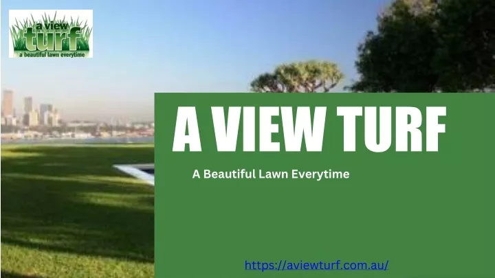 a view turf