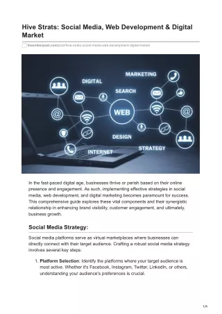 -Hive Strats Social Media Web Development  Digital Market