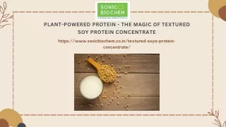 Plant-Powered Protein - The Magic of Textured Soy Protein Concentrate
