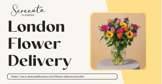Same-Day London Flower Delivery - Serenata Flowers