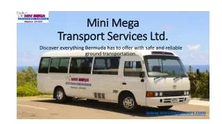 Transportation in Bermuda | Mini Mega Transport Services