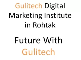 Gulitech Digital Marketing Institute in Rohtak