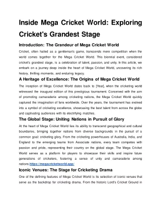 Inside Mega Cricket World
