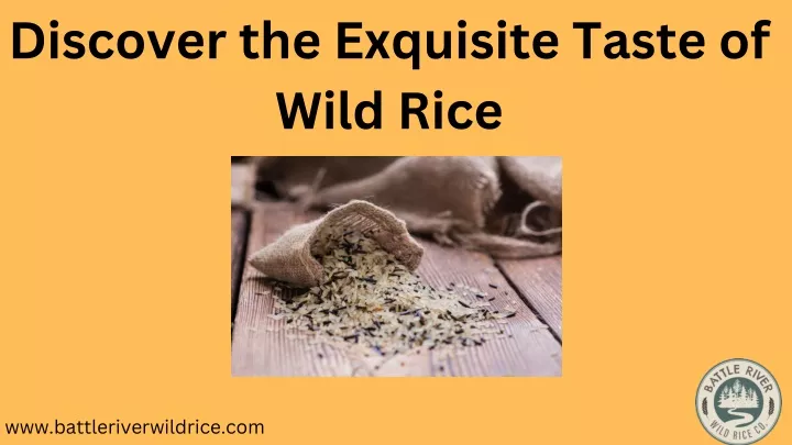 discover the exquisite taste of wild rice