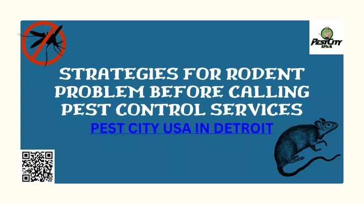 strategies for rodent problem before calling pest
