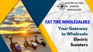 Your Gateway to Wholesale Electric Scooters