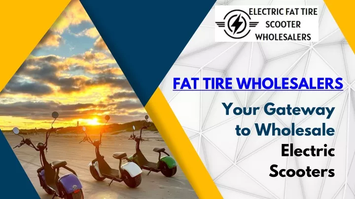 fat tire wholesalers