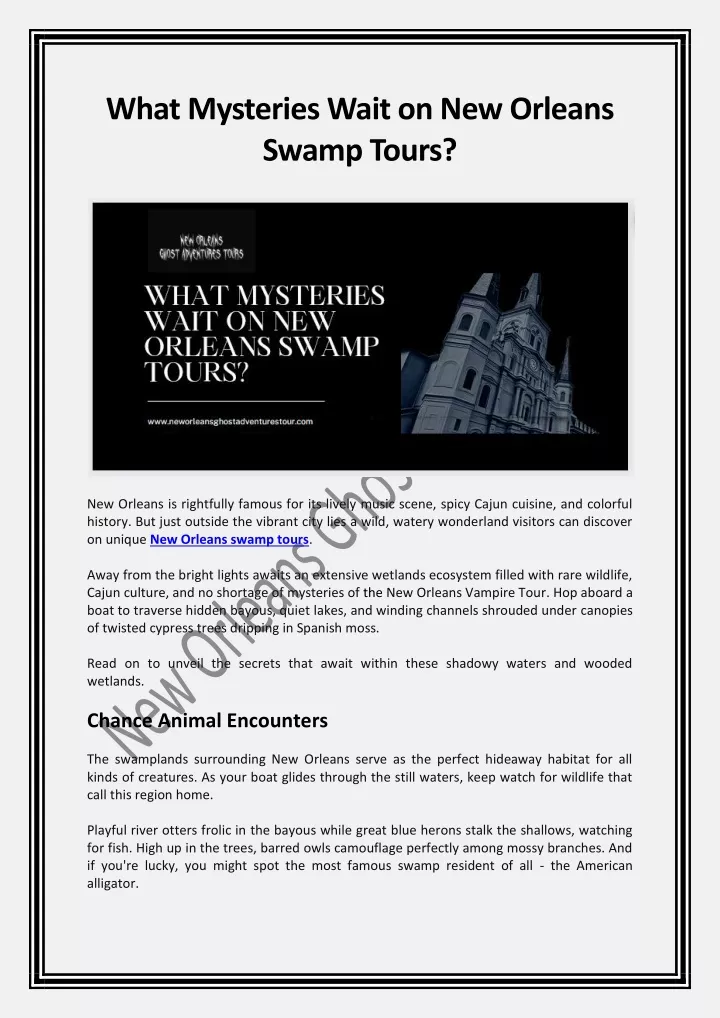 what mysteries wait on new orleans swamp tours