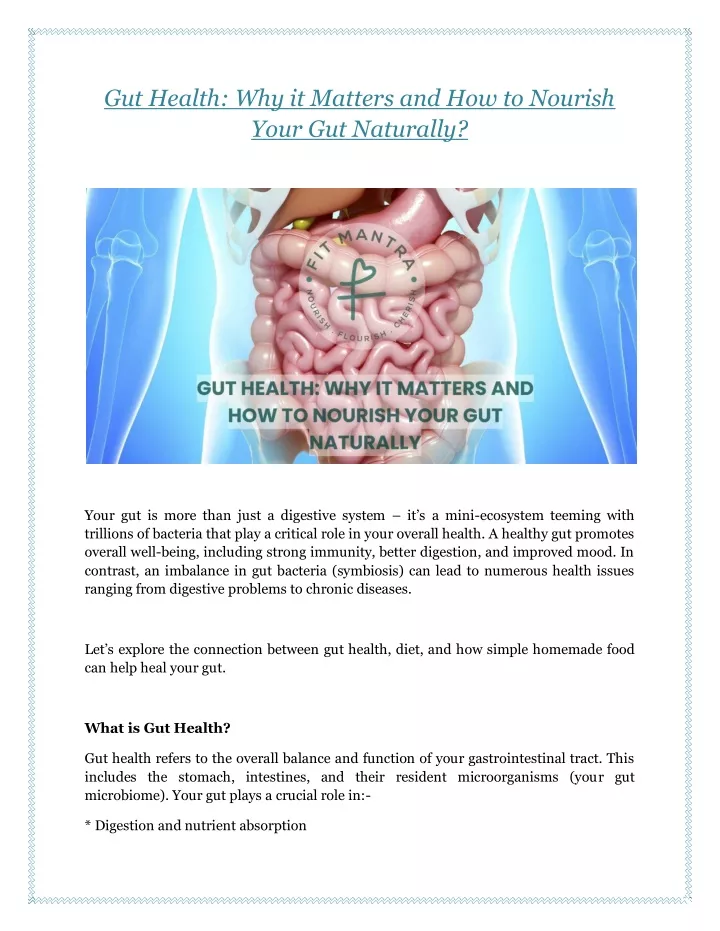 gut health why it matters and how to nourish your