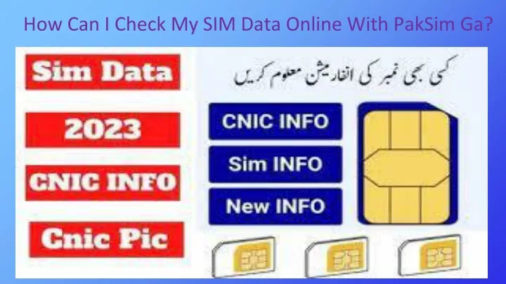 how can i check my sim data online with paksim ga