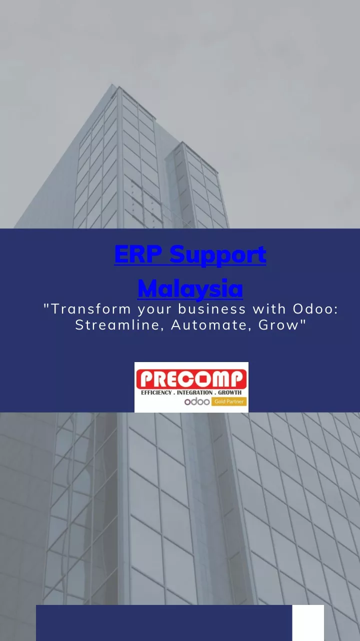 erp support malaysia