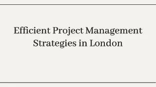 Efficient Project Management Strategies in London