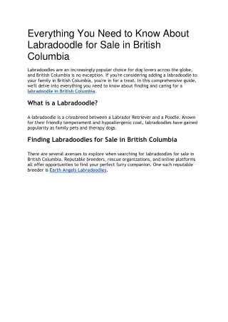 Everything You Need to Know About Labradoodle for Sale in British Columbia