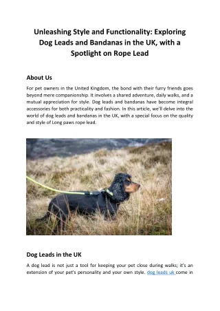 Unleashing Style and Functionality Exploring Dog Leads and Bandanas in the UK, with a Spotlight on Rope Lead