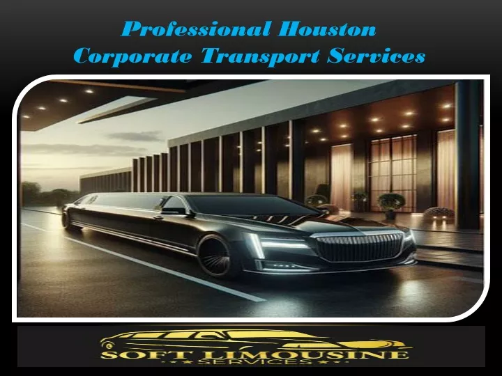 professional houston corporate transport services