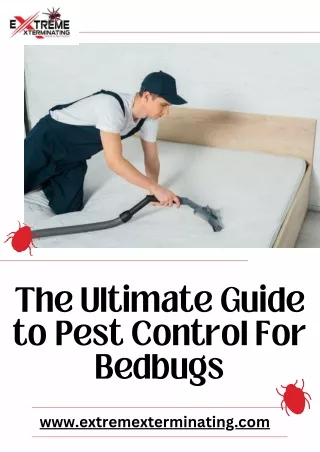 The Ultimate Guide to Pest Control For Bedbugs