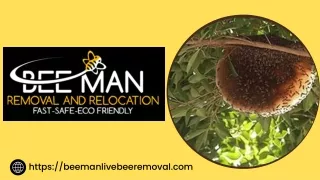 Bee Removal in San Diego