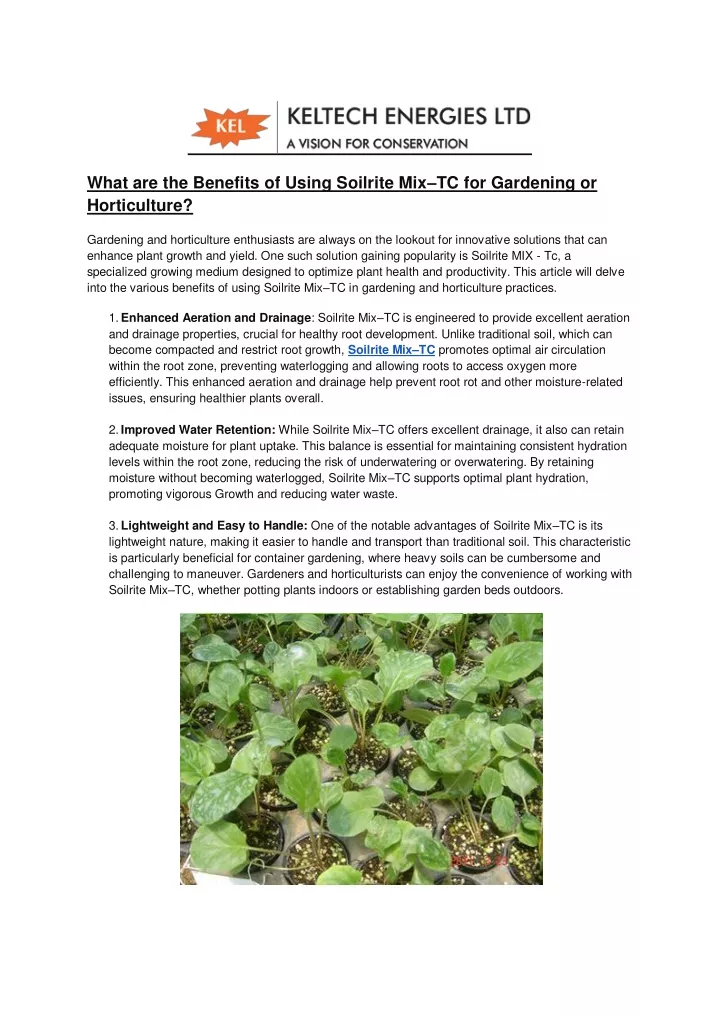 what are the benefits of using soilrite