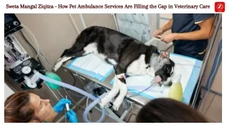 Sweta Mangal Ziqitza - How Pet Ambulance Services Are Filling the Gap in Veterinary Care