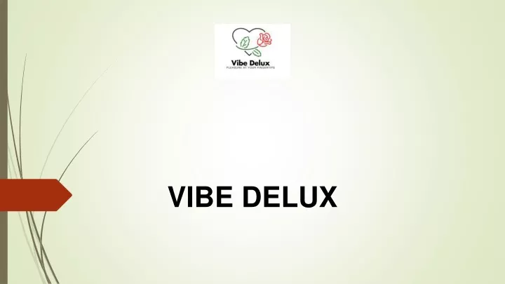 vibe delux
