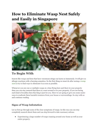 Don't Get Stung! Safe Wasp Nest Removal Solutions for Singapore Homes