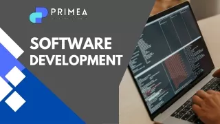 Primea Biz Consultant: Streamlining Software Downloads