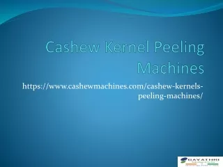 Cashew Kernels Peeling Machines | Cashew Machines - Efficient and Reliable Solut