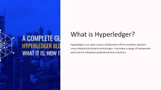 Hyperledger blockchain development services