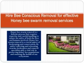 Honey bee swarm removal