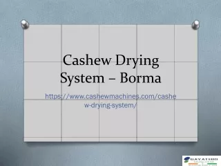 Borma: Advanced Cashew Drying System & Machines