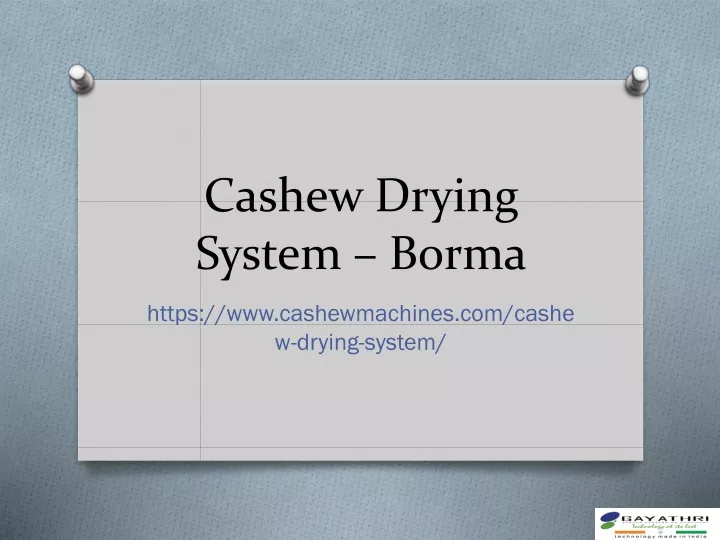 cashew drying system borma
